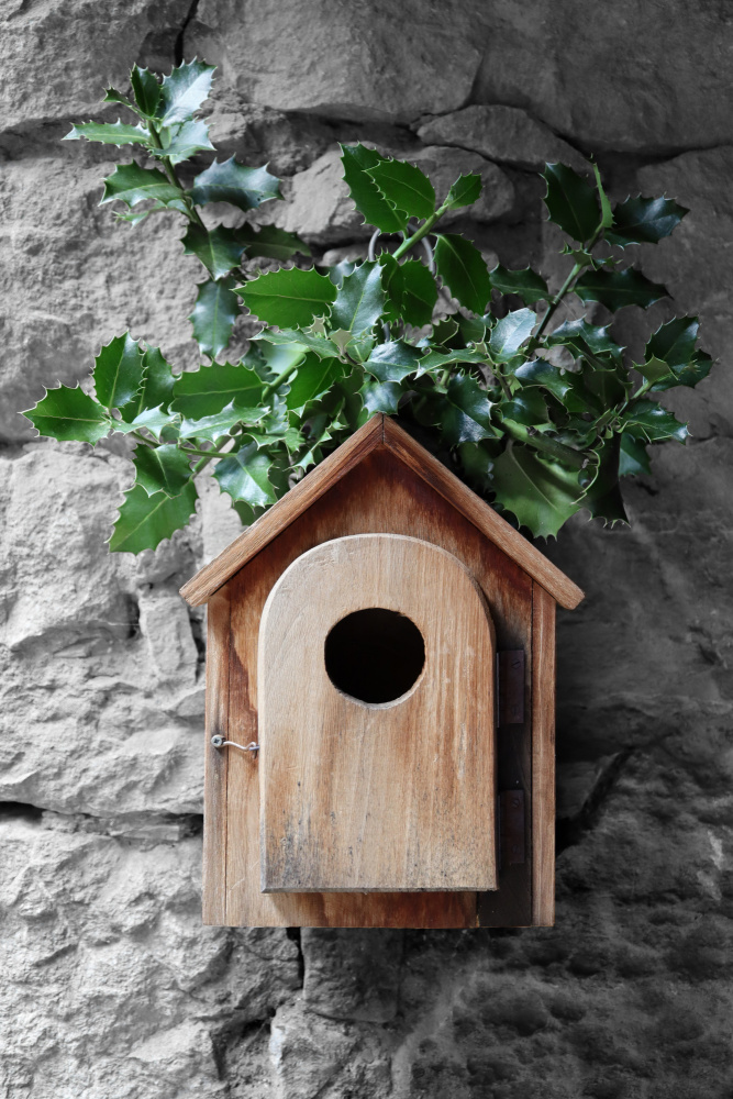 Holly birdhouse von Rosana Laiz Blursbyai