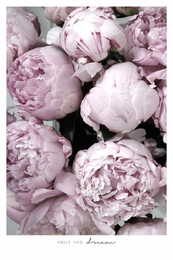 Smile and dream peonies von Rosana Laiz Blursbyai