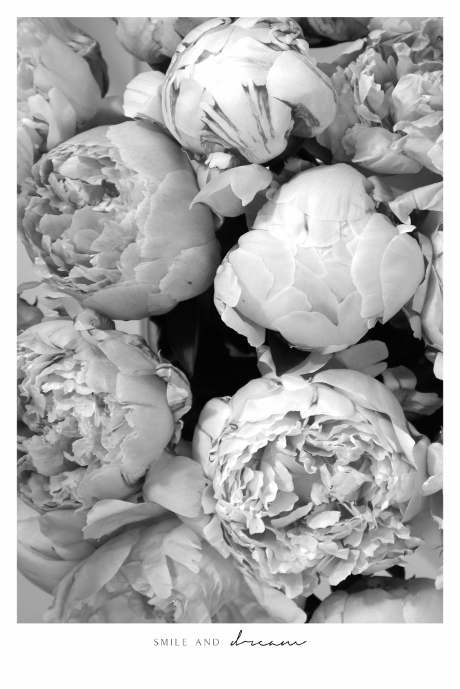 Smile and dream peonies BW von Rosana Laiz Blursbyai