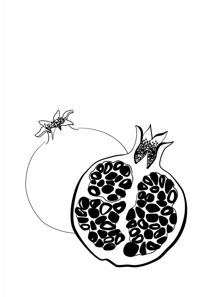 Line art pomegranates von Rosana Laiz Blursbyai