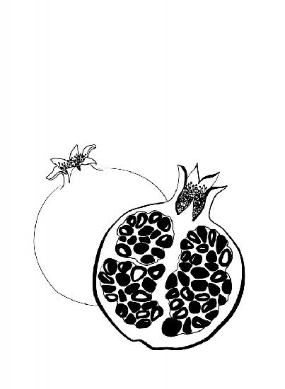 Line art pomegranates