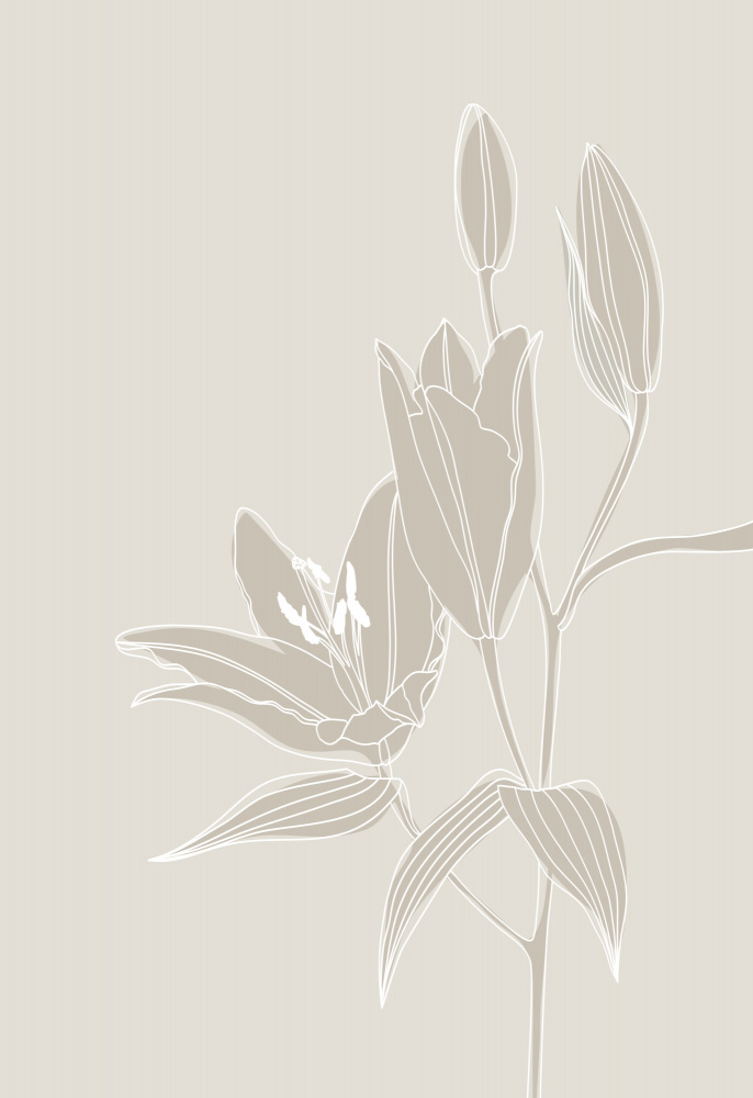 Line art lillies in white von Rosana Laiz Blursbyai