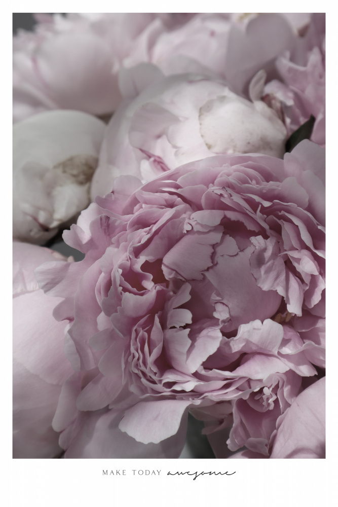 Make today awesome peonies von Rosana Laiz Blursbyai