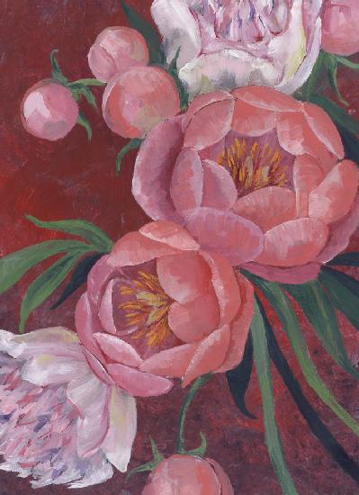 Nevaeh peonies