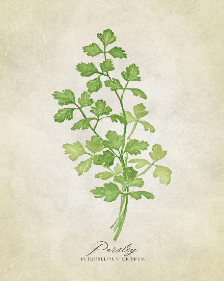 Parsley vintage