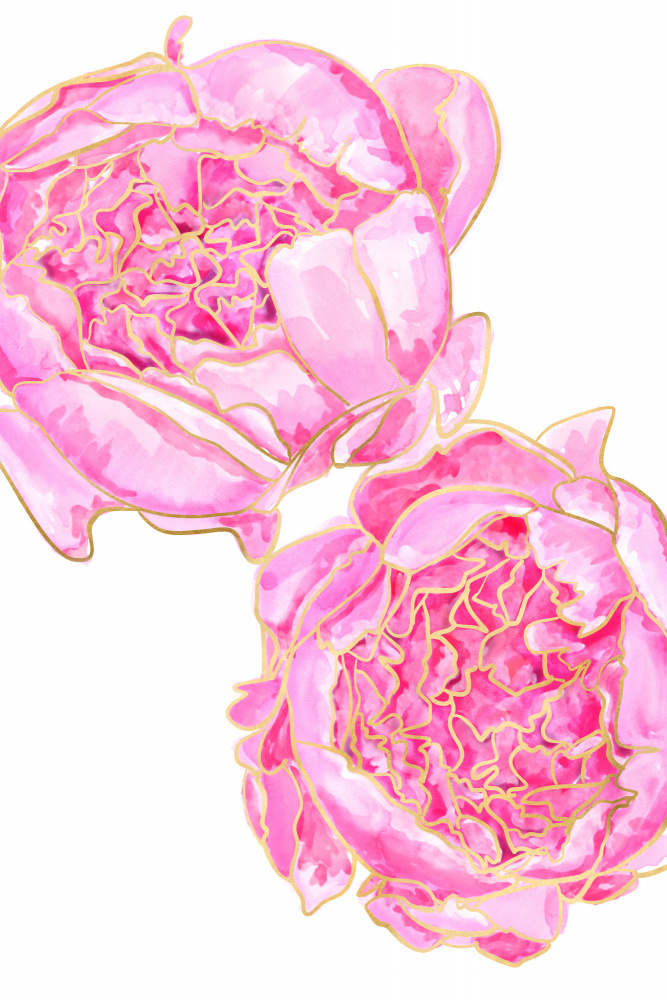 Sallys peonies von Rosana Laiz Blursbyai