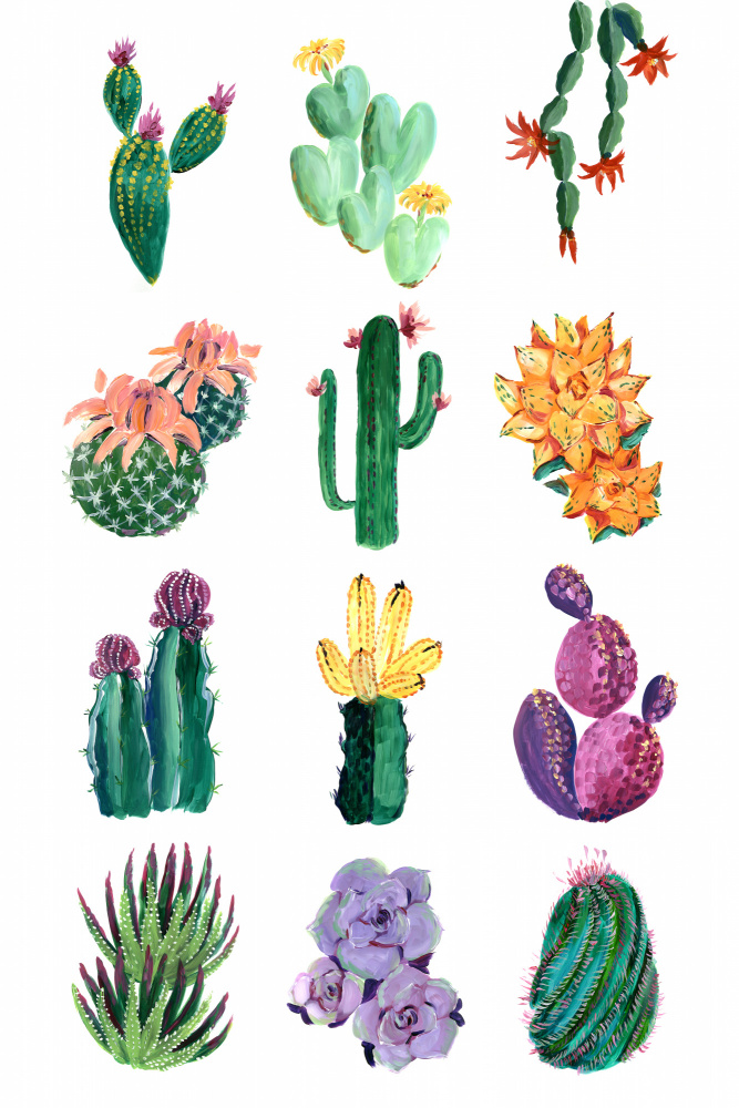 Collection of cacti von Rosana Laiz Blursbyai