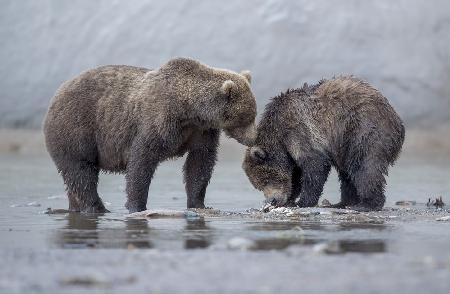 Mothers Kiss