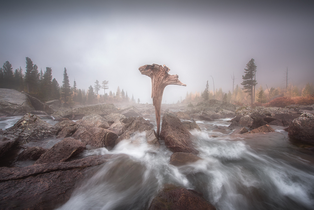 Altai Russia von Rostovskiy Anton