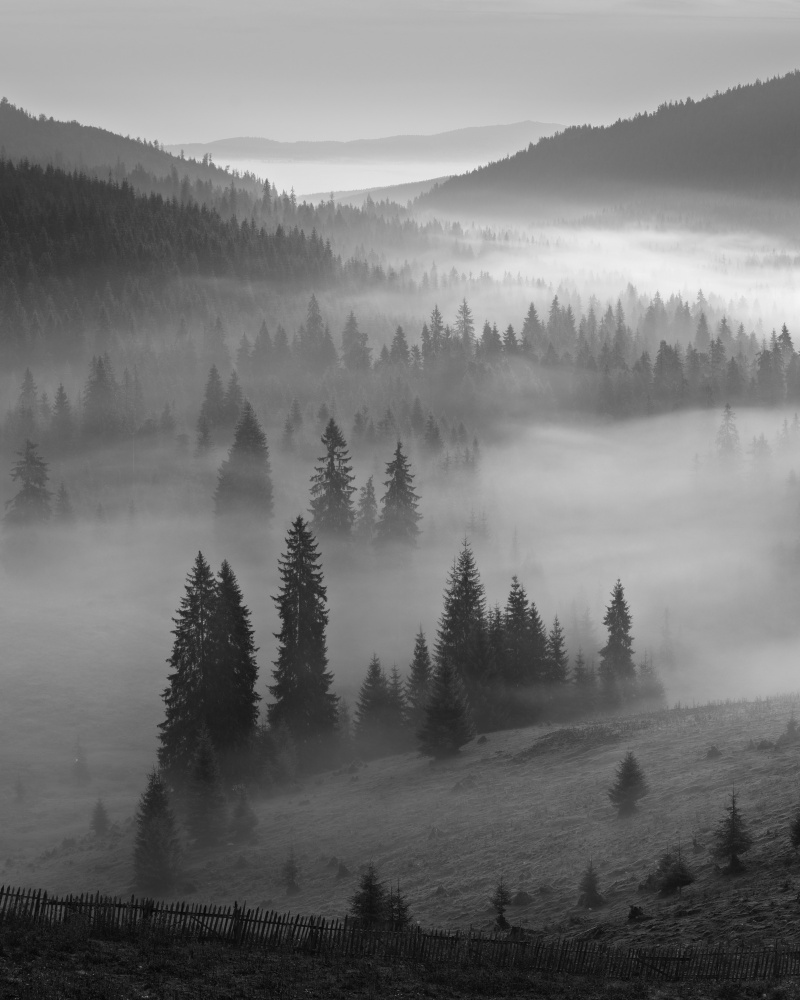 B&amp;W Fog von Rostovskiy Anton