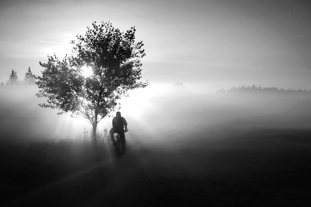 floating into the day von Roswitha Schleicher-Schwarz