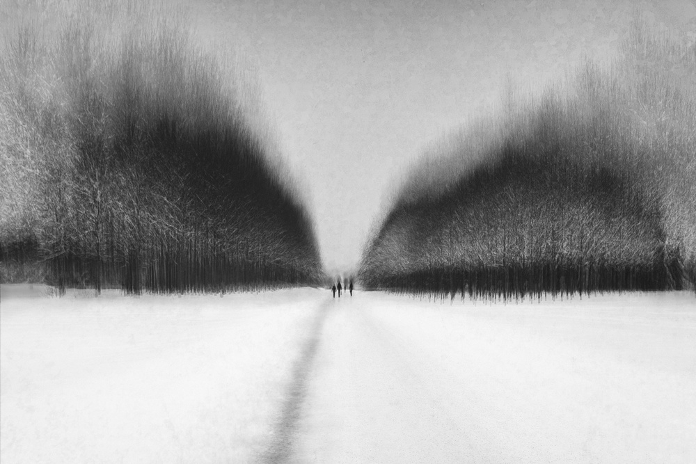 snow walk von Roswitha Schleicher-Schwarz