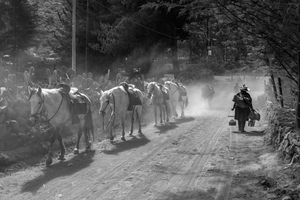 The road von Ruben Bernuy