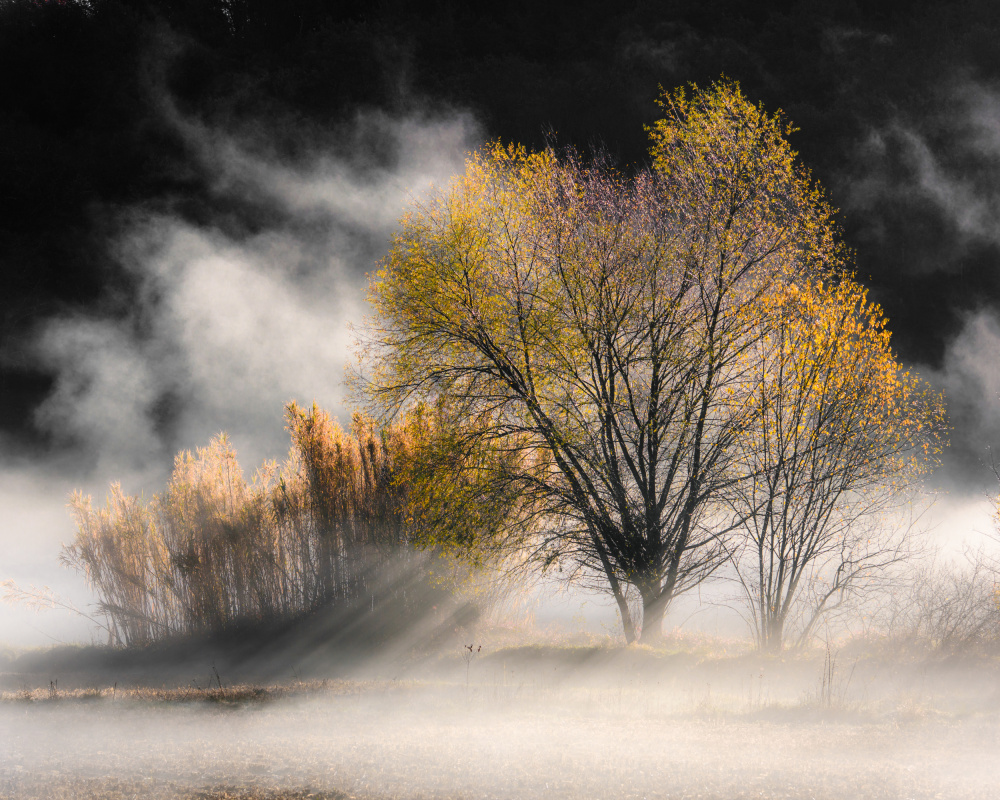 Winter essence von Ruben Ramos