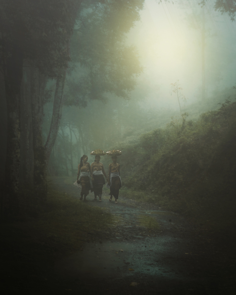 Balinese Girls von Rudi Gunawan