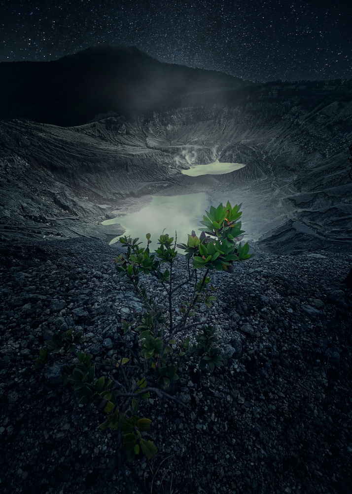 Queen Crater von Rudi Gunawan