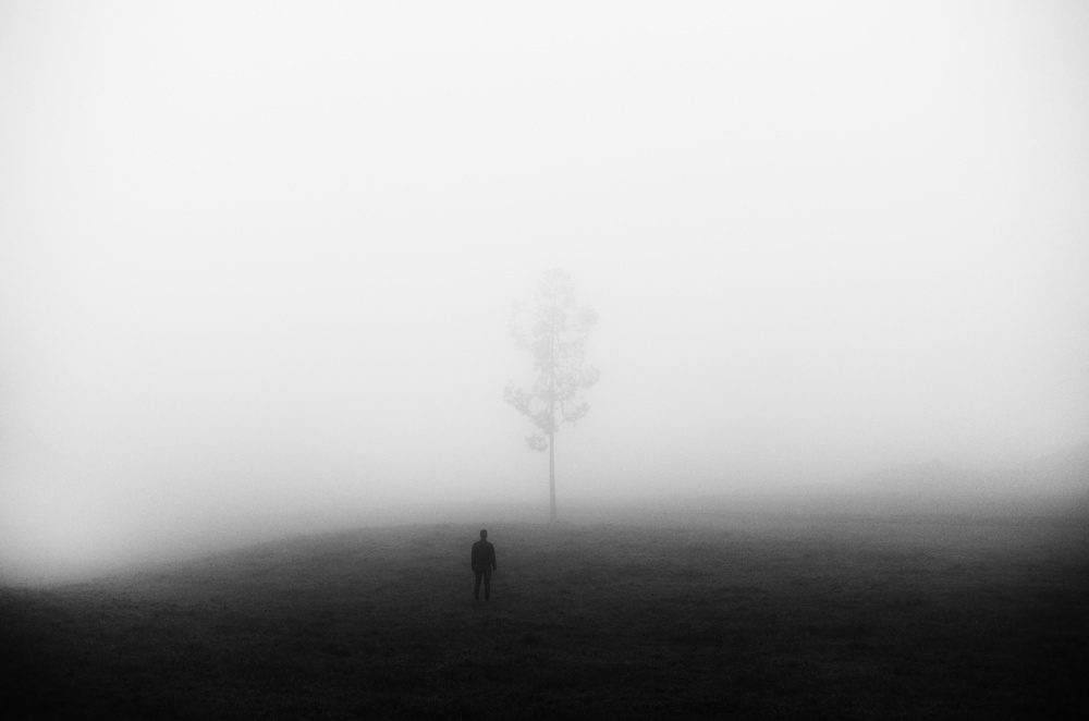 Encounter von Rui Caria