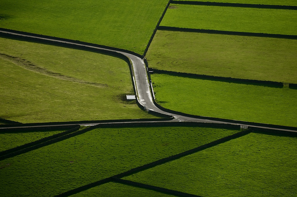 Green von Rui Caria