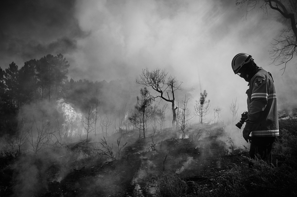 Never surrender von Rui Caria