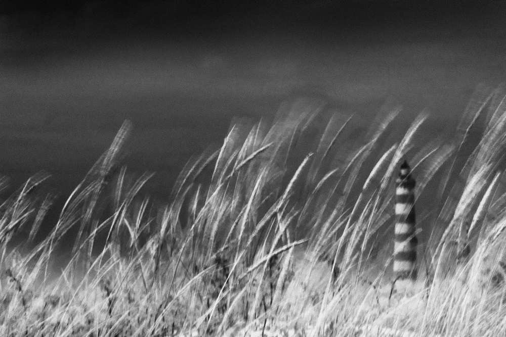 against the wind von Rui Correia