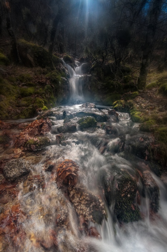 MYSTIC FLOW von Rui Mendes