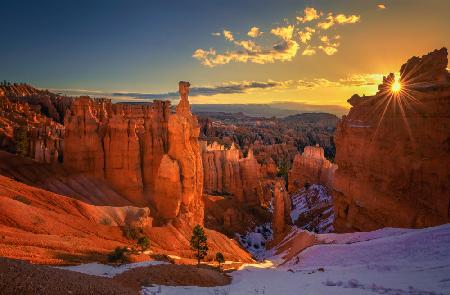 Bryce Canyon Spring