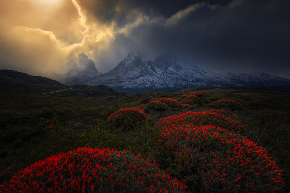 Fire balls of Torres del Paine 2 von Ruiqing P.