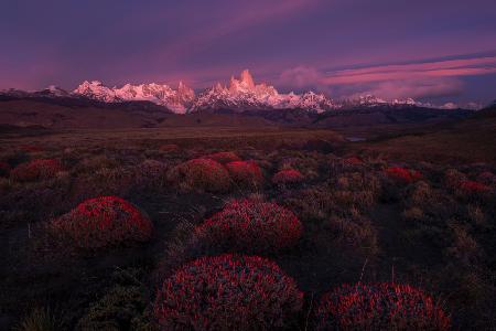 Spring in Torres del Paine