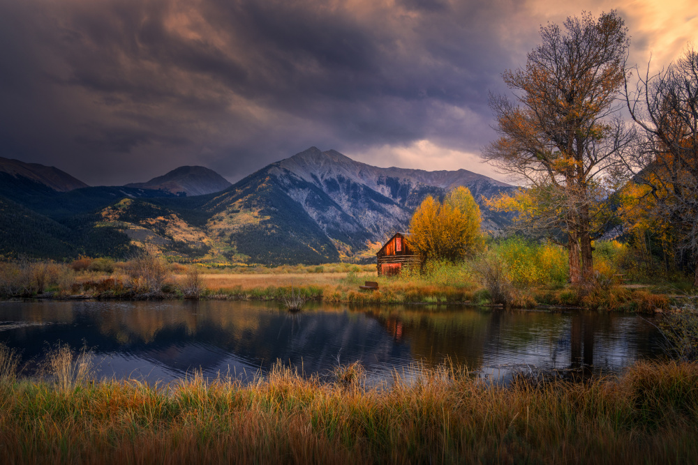 Autumn Memory von Ruiqing P.