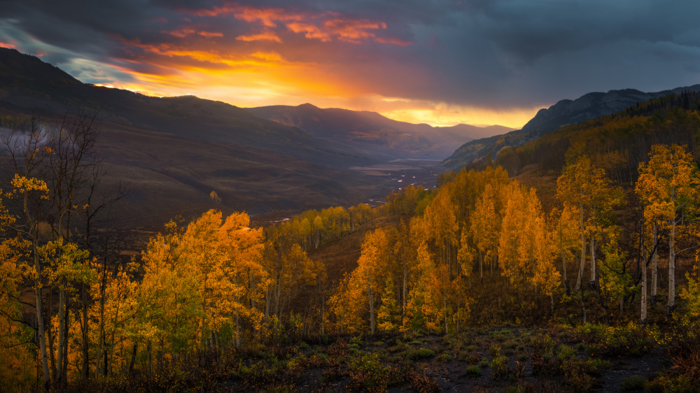 Autumn Glory von Ruiqing P.