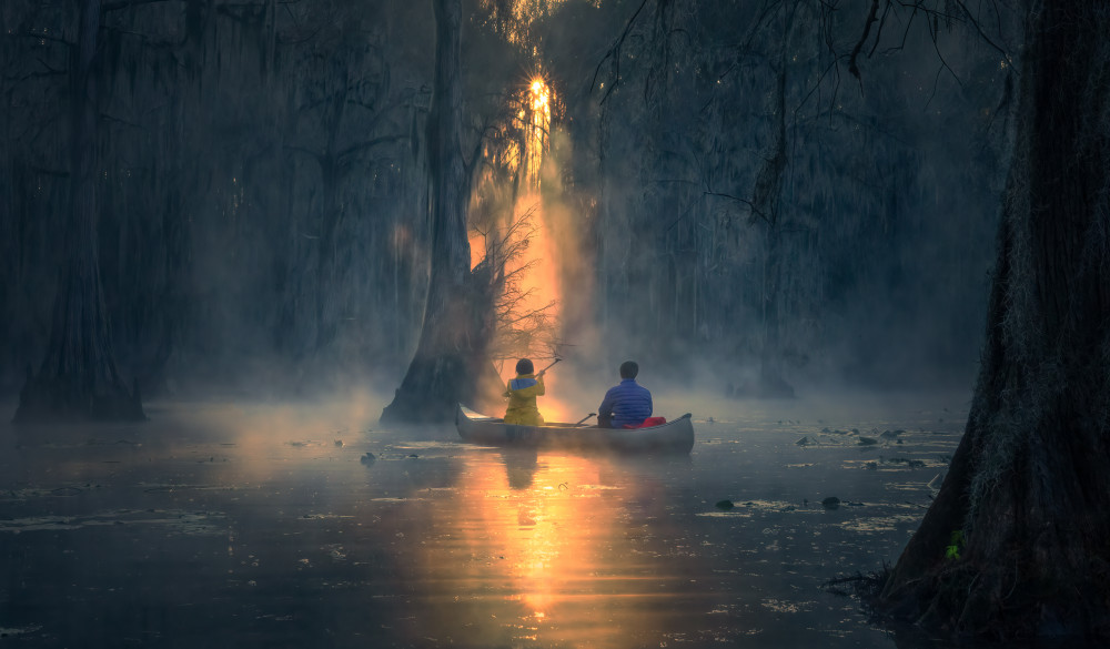 Bathed in golden sunlight von Ruiqing P.