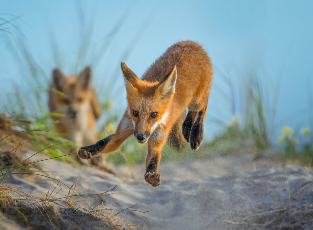 Playful Beach Boy von Ruiqing P.