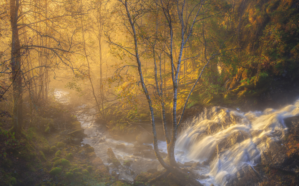 First light von Rune Askeland