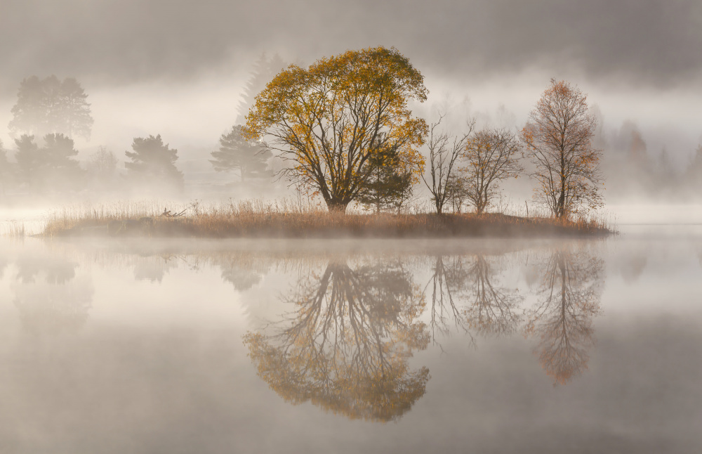 Misty morning von Rune Askeland