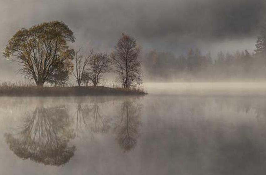 Rune Askeland