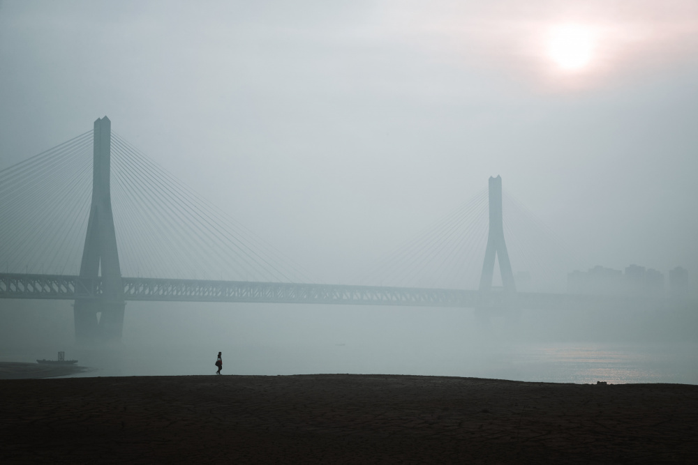 In the fog von Ruochen Shen