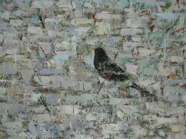 Blackbird in Tree von Ruth  Addinall