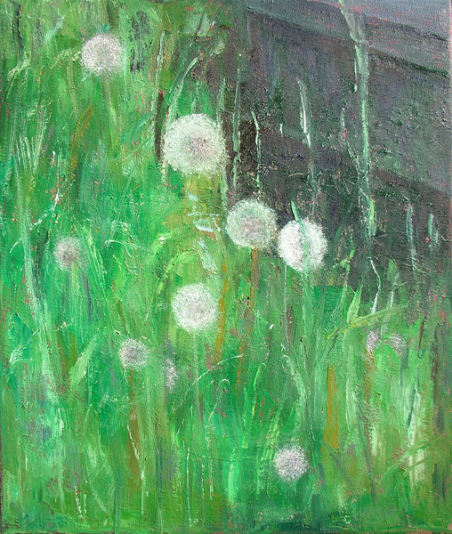 Dandelion Clocks in Grass von Ruth  Addinall