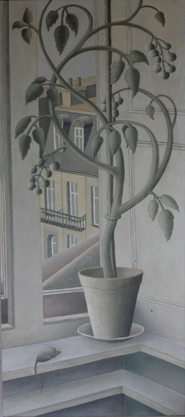 Plant in Window von Ruth  Addinall