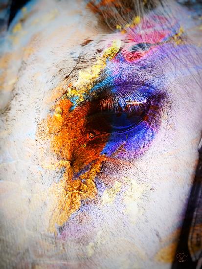 Painted Horse