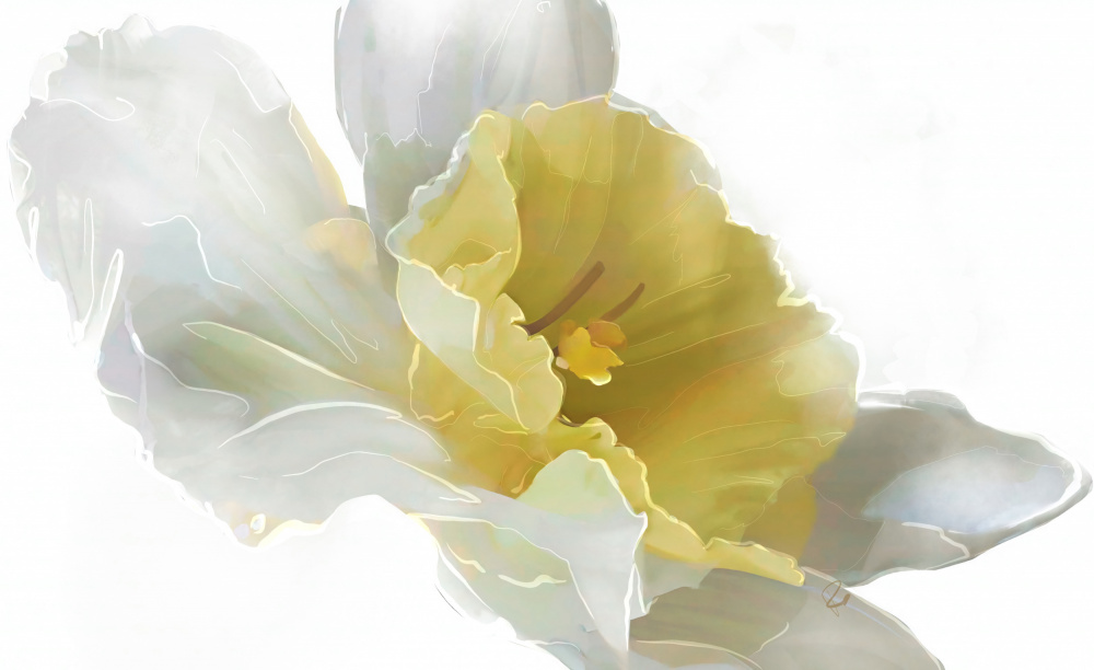 Daffodil von Ruth Day