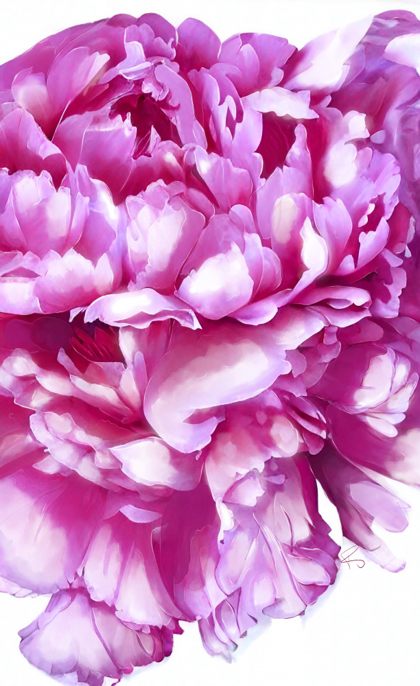 Pink Peony von Ruth Day