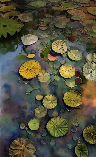 Lily Pads