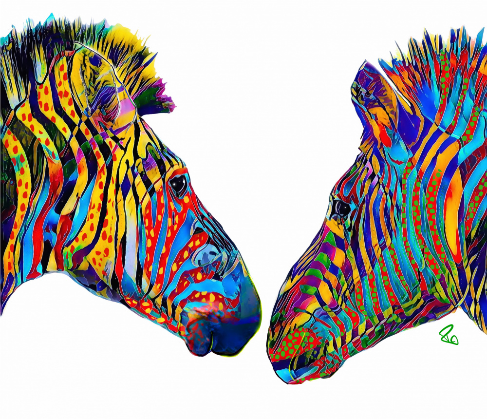 Ziggy and Zag the Zebras von Ruth Day