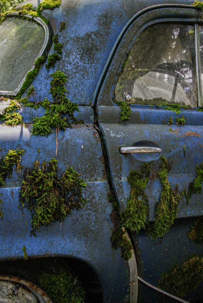 blue and moss von Ruth Franke