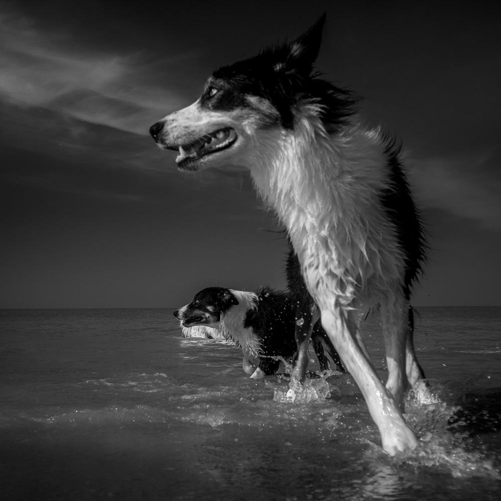 Taking a turn at the sea von RuudPeters