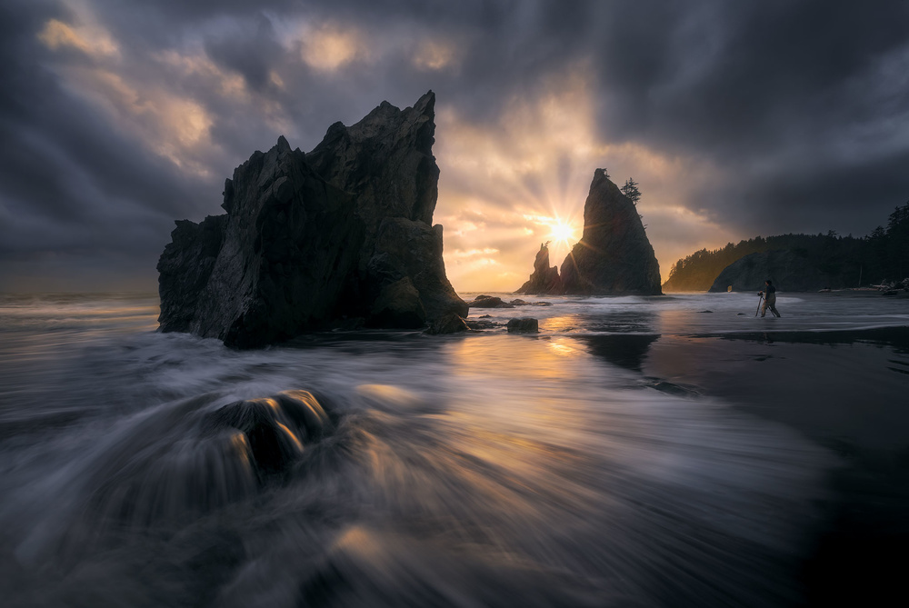 Ripped Open von Ryan Dyar