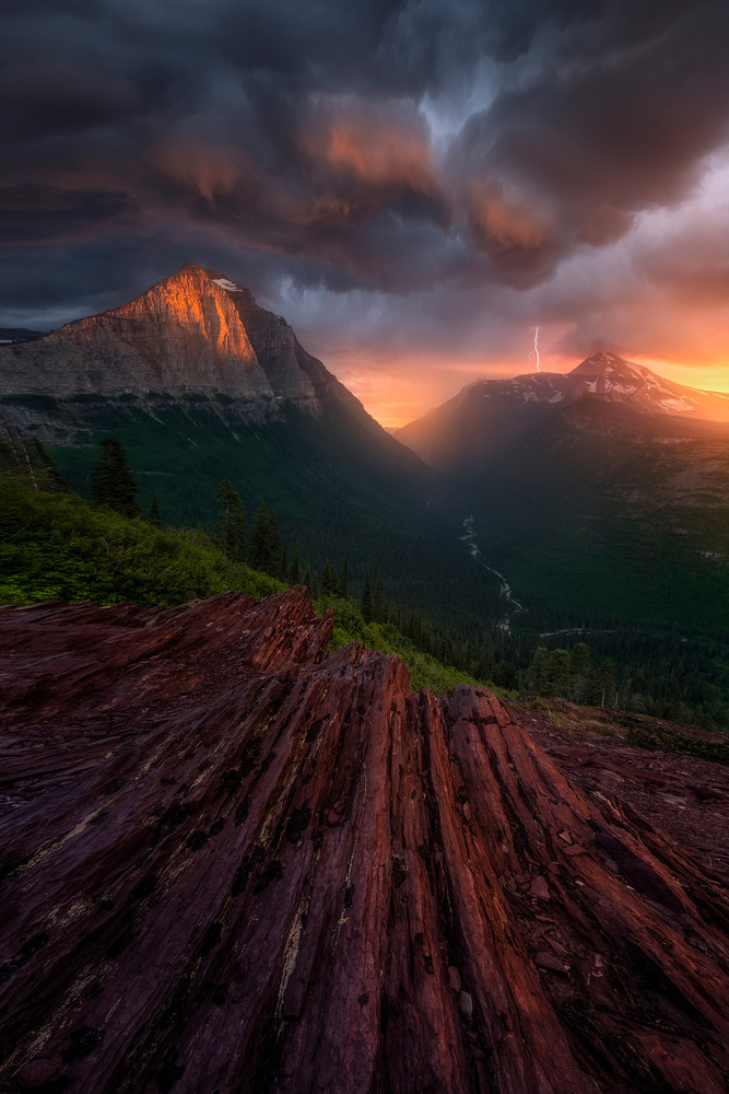 Dissolution von Ryan Dyar