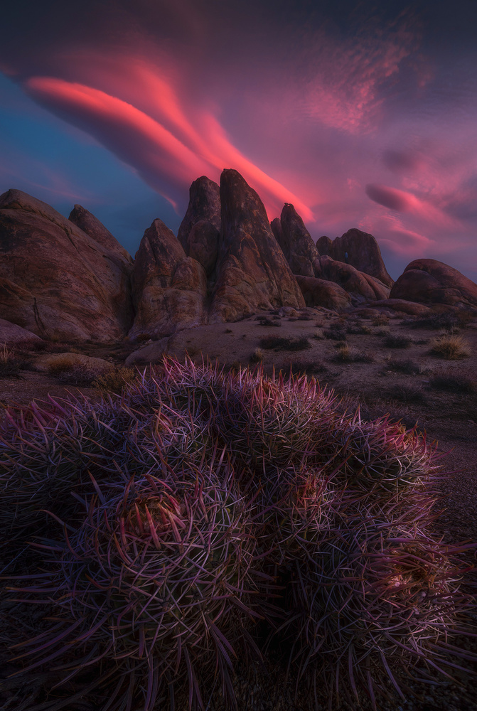 Sleuth of Scintillance von Ryan Dyar