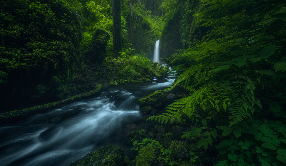 D(r)earest Friend von Ryan Dyar